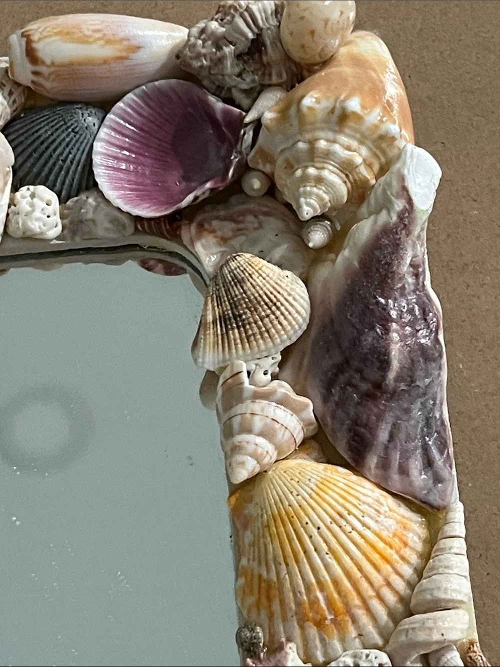 Handmade Seashell Accent Mirror in Pink, Cream & Tan 10x10